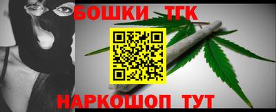 индика Обь