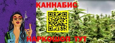 индика Обь