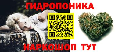 индика Обь