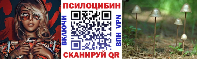 Псилоцибиновые грибы GOLDEN TEACHER  гидра сайт  Старая Купавна 