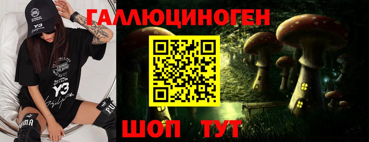 Старая Купавна  Галлюциногенные грибы мухоморы  Вход с VPN 